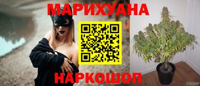 гашик Михайловск