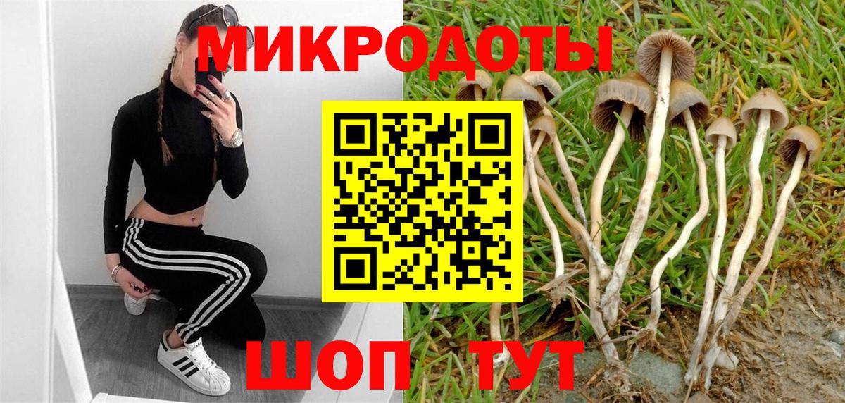 Псилоцибиновые грибы Cubensis  Вход с VPN  Баксан 