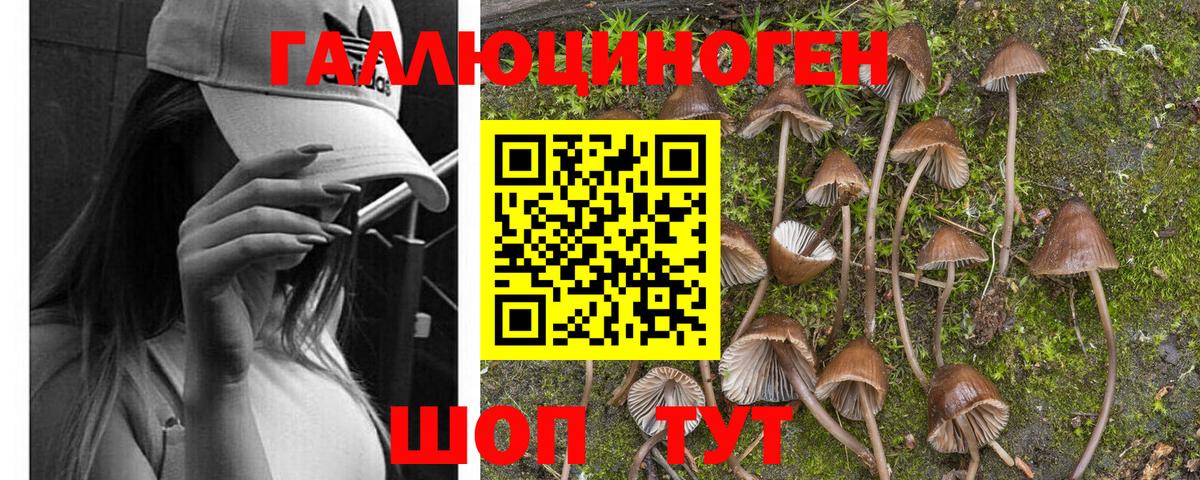 Галлюциногенные грибы MAGIC MUSHROOMS Баксан